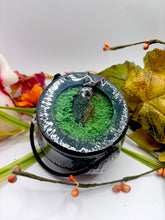 Load image into Gallery viewer, Creepy Crawly Couldrons
